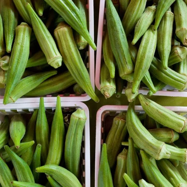 thumbnail for publication: Okra: Nutritional Value and Production Practices in South Florida